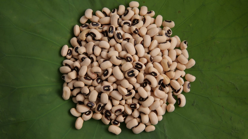 Đậu trắng có tốt không? Một số lưu ý khi sử dụng đậu trắng 1