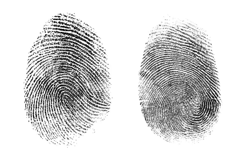 Dấu vân tay là gì? Ứng dụng dấu vân tay trong đời sống 2