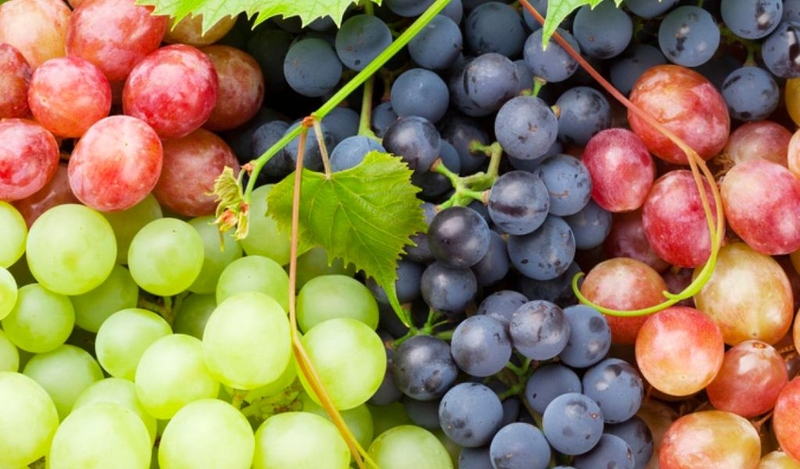 Đau xương khớp có ăn được đu đủ không? Các loại trái cây tốt cho xương khớp 3