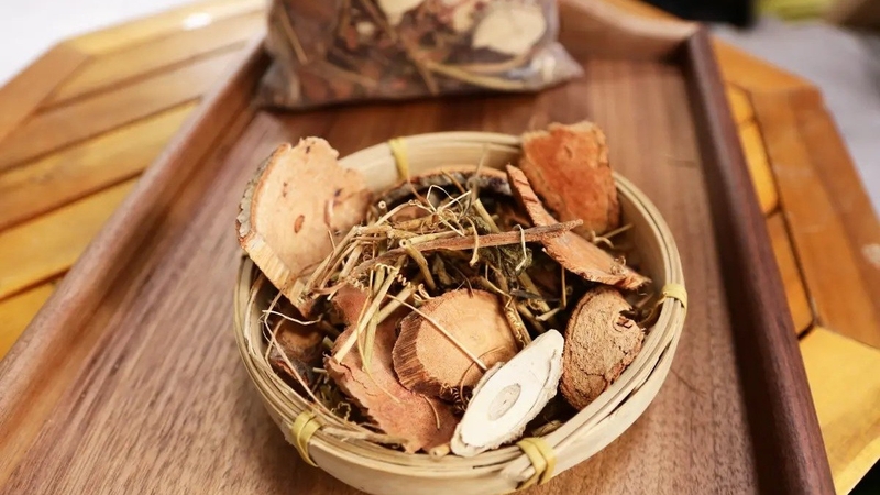 Cỏ máu – cây gỗ biết “chảy máu”&nbsp;6