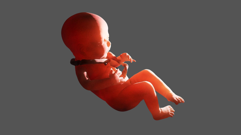 Dây rốn quấn cổ 2 vòng sinh thường được không​? 2