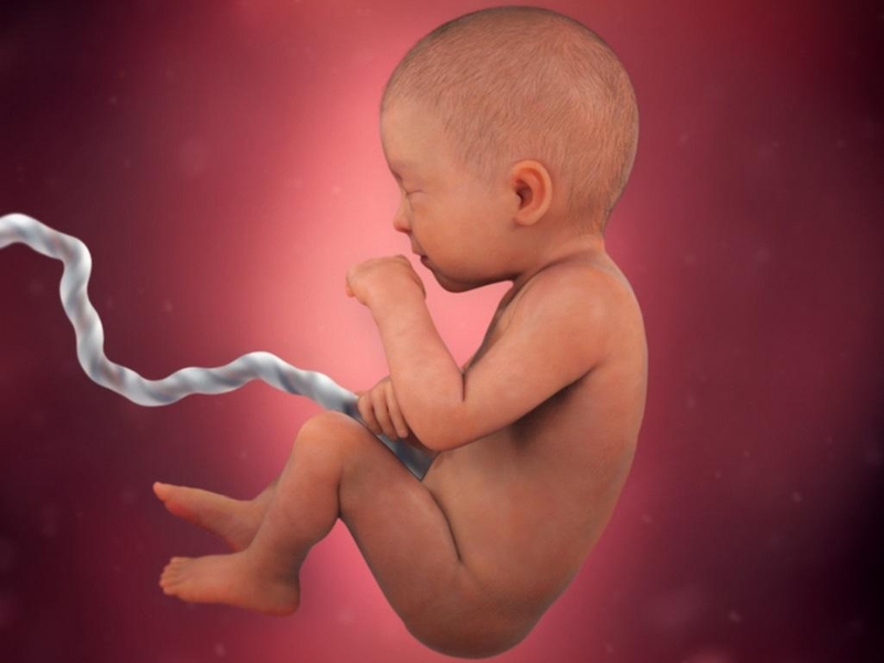 Dây rốn quấn cổ là gì? Thai nhi bị dây rốn quấn cổ 1 vòng có nguy hiểm không? 1