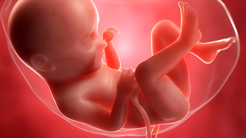 Dây rốn thắt nút là tình trạng gì?