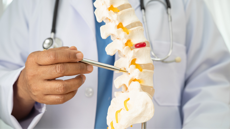 Dây thần kinh liên sườn ở đâu được nhiều bạn đọc quan tâm