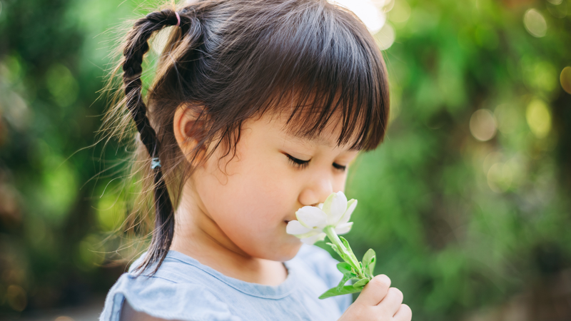 day-than-kinh-so-1-la-gi-chuc-nang-va-vai-tro-trong-co-the (3).png