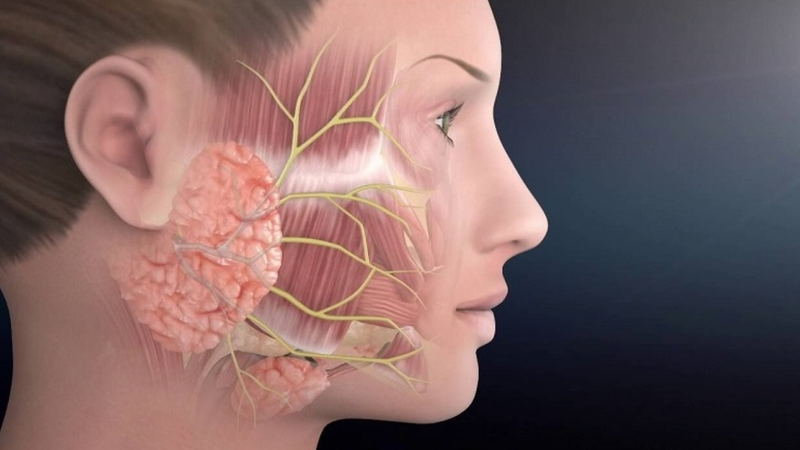 Dây thần kinh số 6​ là gì chức năng và vai trò trong cơ thể? 2