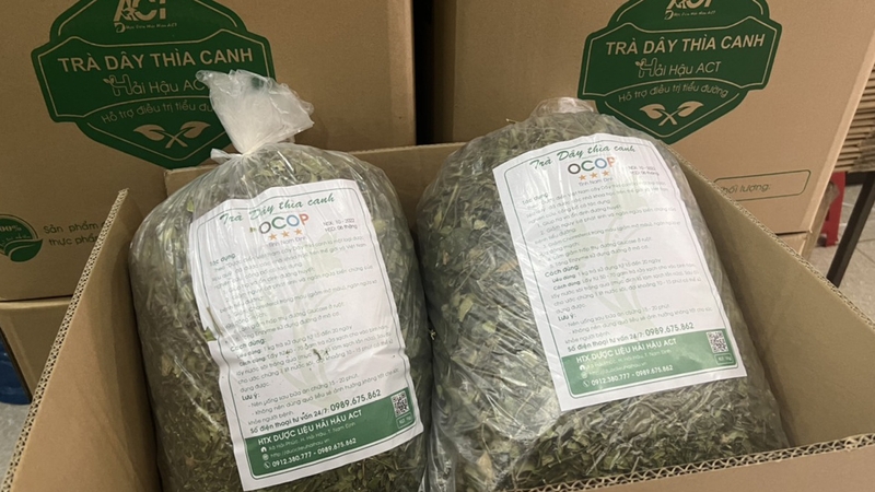 Dây thìa canh có tác dụng gì? Một số bài thuốc với dây thìa canh 2