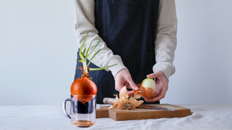Nhiều người tò mò muốn biết để củ hành tây trong phòng có tác dụng gì