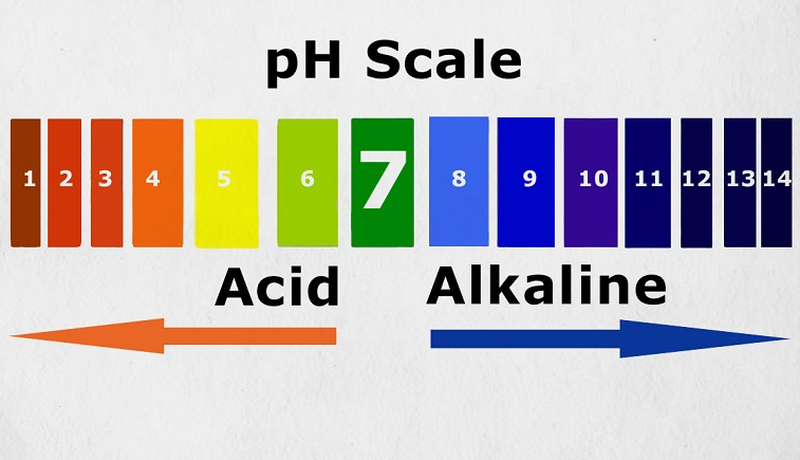 Để phòng ngừa bệnh tật, nước uống có độ pH bao nhiêu là tốt? 1