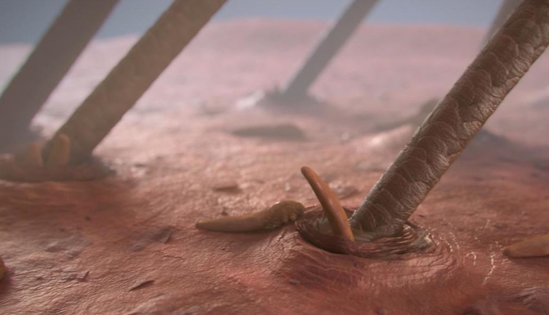 Xét nghiệm Demodex soi tươi có ý nghĩa gì? Thực hiện thế nào 4