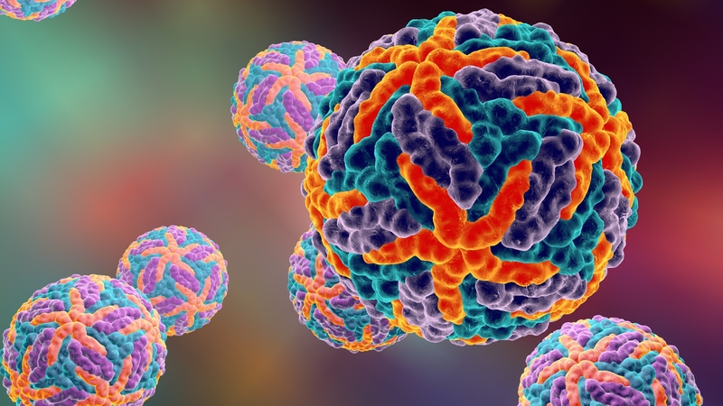 Dengue virus là gì? Dengue virus gây ra bệnh sốt xuất huyết có mấy loại? 3