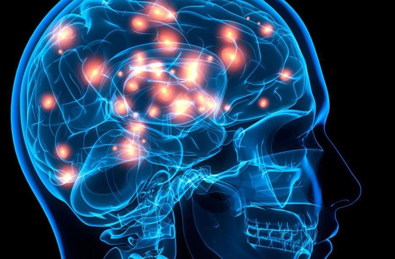 DHA đóng vai trò thiết yếu trong sự phát triển và hoạt động của não bộ