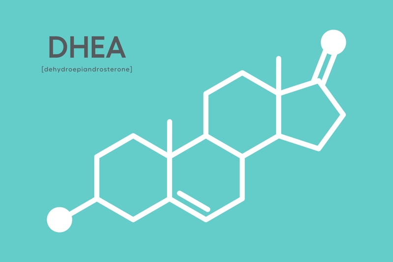 dhea-hormone-la-gi-vai-tro-cua-hormone-dhea 1.jpg