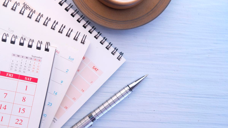 Dị dạng bán cầu não là gì? Nguyên nhân, triệu chứng và cách điều trị 5