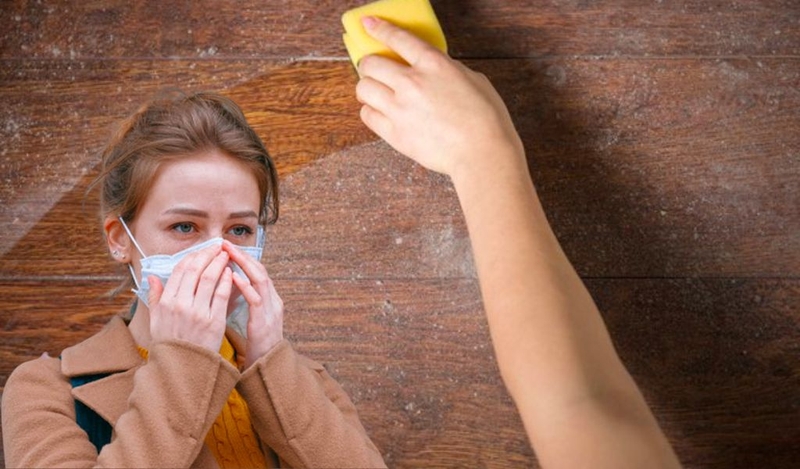 Dị ứng bụi bẩn: Nguyên nhân, điều trị và cách phòng ngừa 1