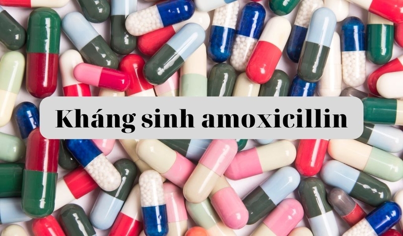 Dị ứng kháng sinh amoxicillin là gì? Tác dụng phụ khác khi dùng thuốc 1