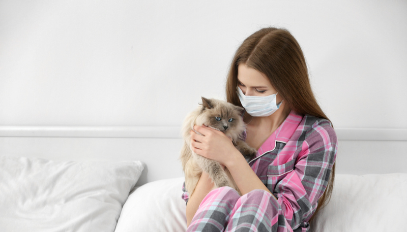 Dị ứng lông mèo những muốn nuôi mèo phải làm sao? 2