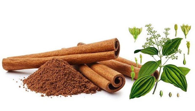 di-ung-que-thi-phai-lam-sao 2