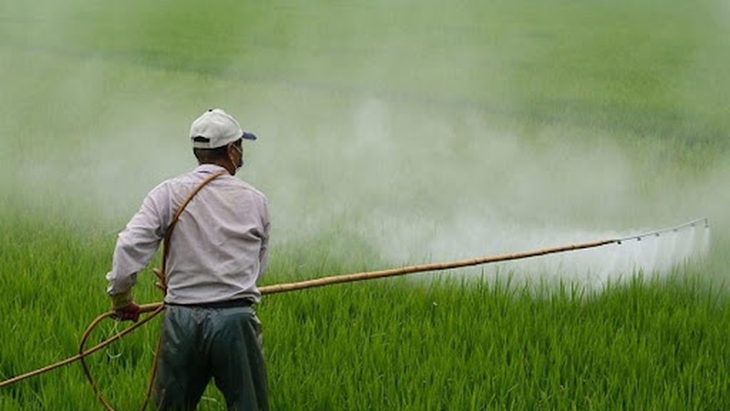 di-ung-thuoc-tru-sau 1