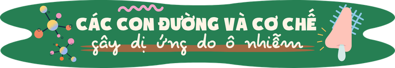 Dị ứng trong thời đại ô nhiễm: Nguyên nhân, tác động và cách bảo vệ sức khỏe h2 2