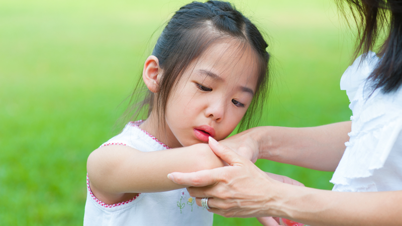 Bị động vật nghi mắc dại cắn hoặc cào cần sớm đến bác sĩ để được đánh giá