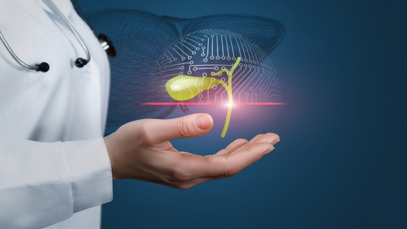 Dịch mật là gì? Những tác dụng của dịch mật đối với cơ thể 1