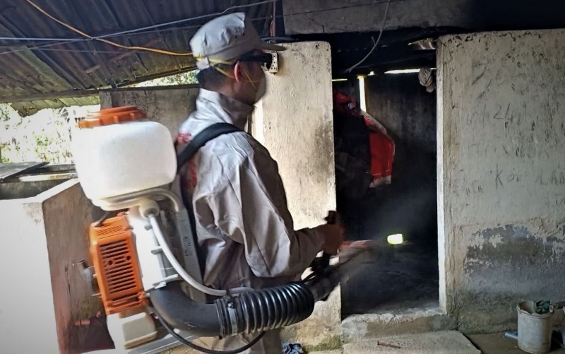 Dịch sốt xuất huyết 2019 đang lan nhanh ở miền núi 3