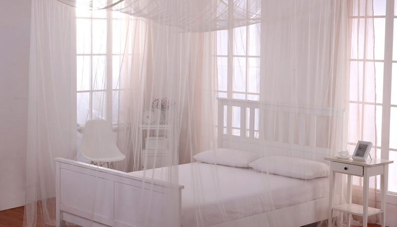 Dịch sốt xuất huyết, triệu chứng, điều trị và cách phòng ngừa 3 Dịch sốt xuất huyết, triệu chứng, điều trị và cách phòng ngừa 3