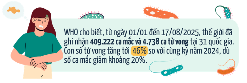 Dịch tả toàn cầu: Vì sao tử vong tăng 46% và đâu là 3 “lá chắn” phòng bệnh của Bộ Y tế? 1