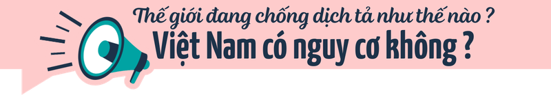 Dịch tả toàn cầu: Vì sao tử vong tăng 46% và đâu là 3 “lá chắn” phòng bệnh của Bộ Y tế? h2 3