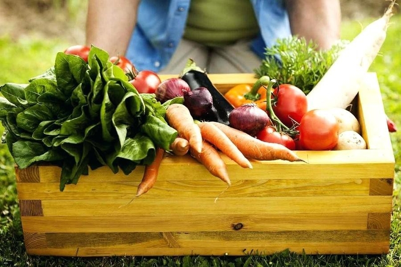 Điểm danh các loại dược liệu chữa đau bụng kinh an toàn, hiệu quả 3