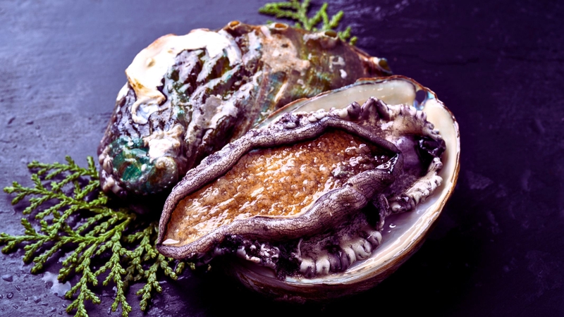 Điểm danh các loại hải sản tốt cho đàn ông giúp tăng cường sinh lý 3