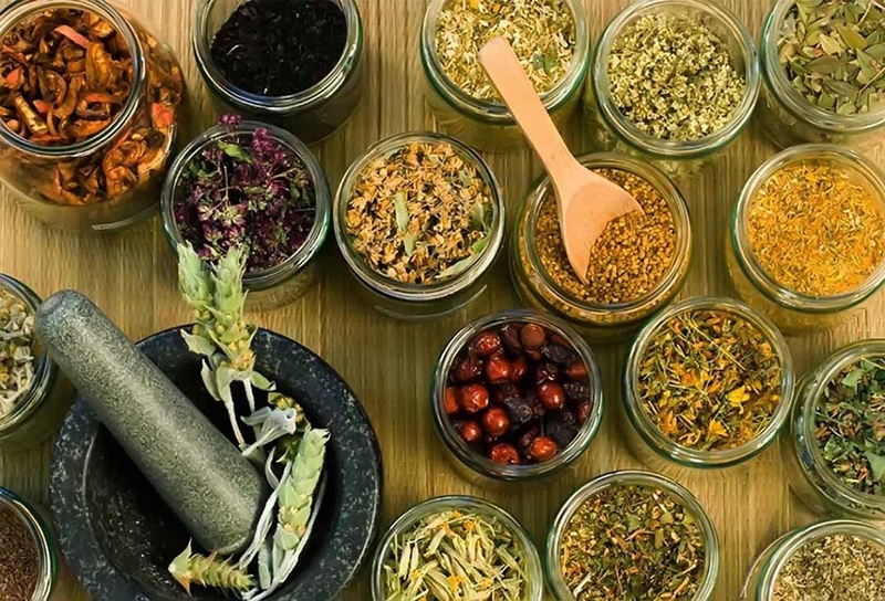 Điểm danh các loại thảo dược trị ho cho bé được chuyên gia khuyên dùng 4