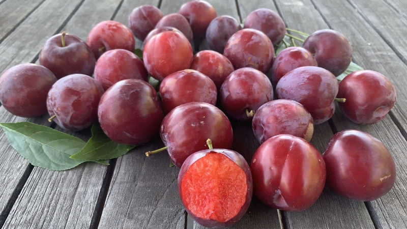 Điểm danh các loại trái cây chứa nhiều sắt cho bà bầu 2