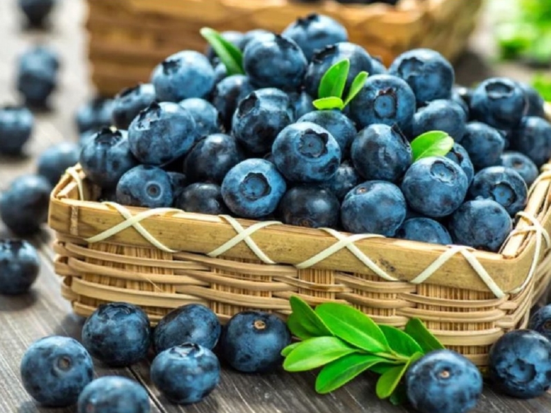 Điểm danh các thực phẩm giàu Polyphenol mà bạn nên biết 2