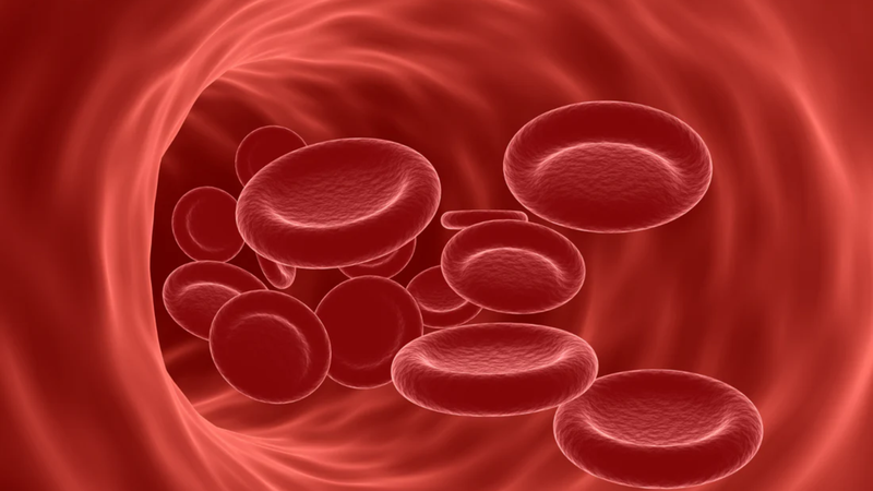 Điểm danh top 4 sai lầm khi uống trà xanh hàng ngày mà bạn nên biết 1