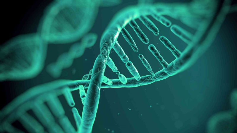 Điểm mặt những “bước nhảy vọt” của công nghệ gen trong y học! 1