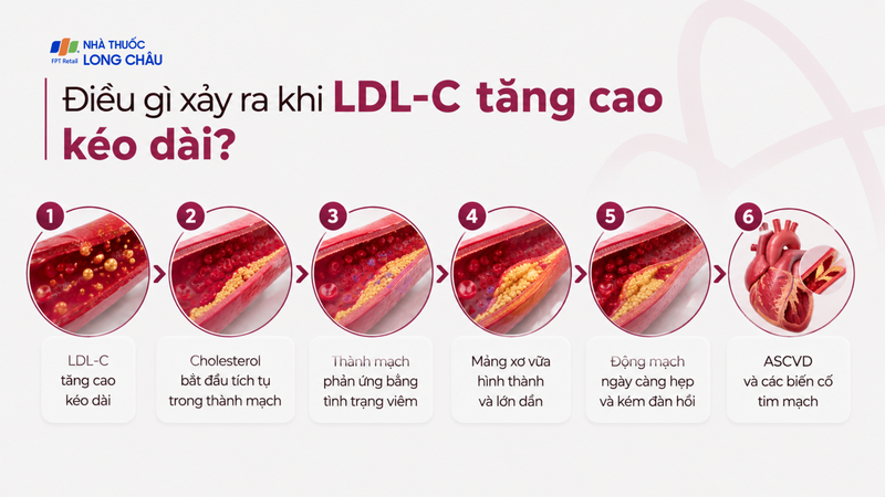 Điều gì xảy ra khi LDL-C tăng cao kéo dài?