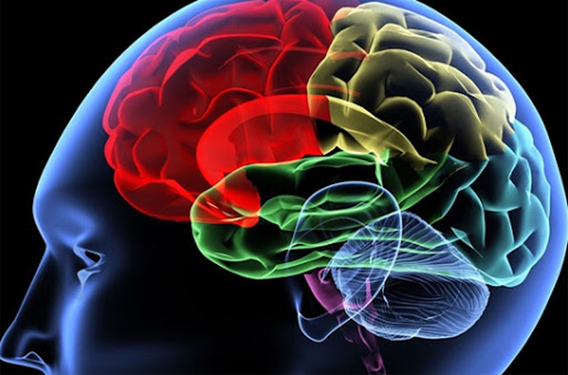 Lao Màng Não Và Cách Điều Trị Lao Màng Não 2