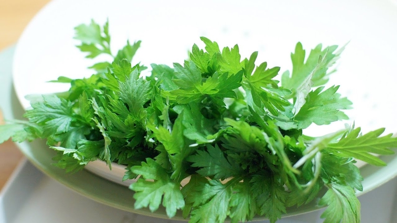 Điều trị rối loạn tiền đình bằng thuốc nam hiệu quả