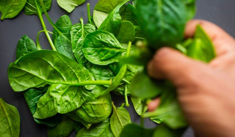 Dinh dưỡng của rau bina và cải xoăn giống và khác nhau như thế nào? 2