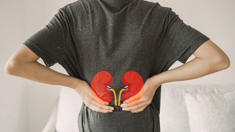 Định lượng creatinin là gì? Vai trò của định lượng creatinin 3