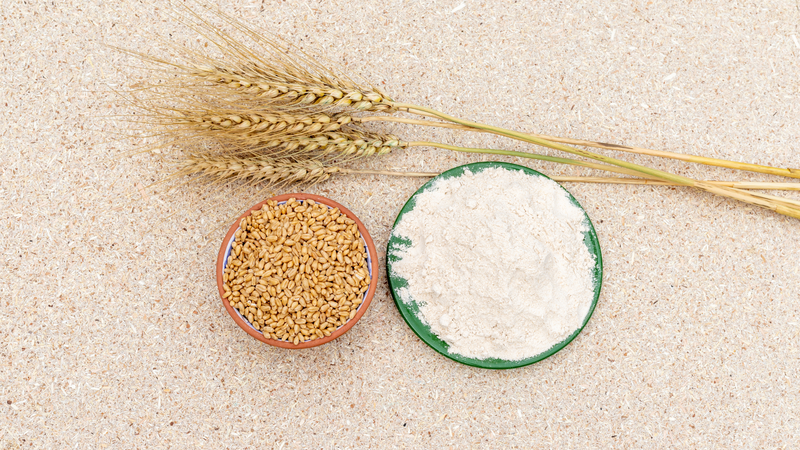 Disaccharide là gì? Sự khác biệt giữa disaccharide, monosaccharide và polysaccharide 3