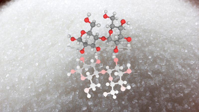 Disaccharide là gì? Sự khác biệt giữa disaccharide, monosaccharide và polysaccharide 1