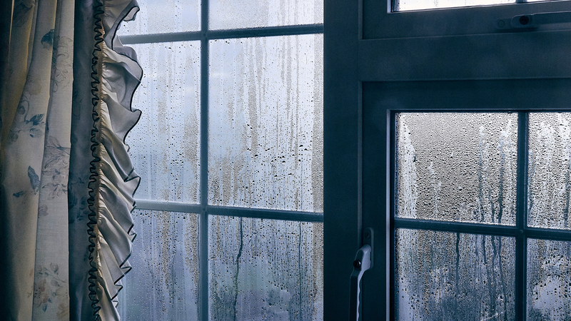 Hiểu rõ độ ẩm không khí là gì giúp chúng ta chủ động cải thiện không gian sống