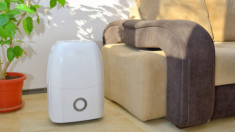 Bạn có thể sử dụng máy hút ẩm để giảm độ ẩm trong phòng