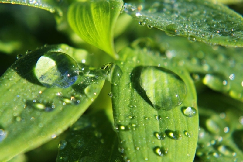 Độ ẩm là gì? Những tác động của độ ẩm lên sức khỏe con người 1