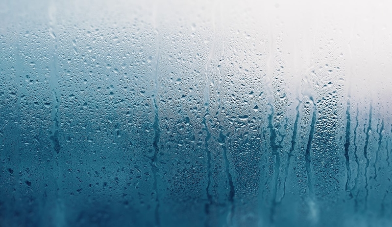 Độ ẩm là gì? Những tác động của độ ẩm lên sức khỏe con người 2