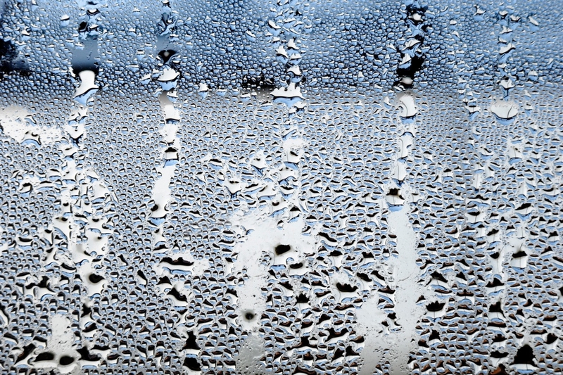 Độ ẩm là gì? Những tác động của độ ẩm lên sức khỏe con người 3