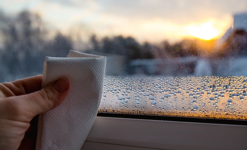 Độ ẩm trong phòng bao nhiêu là tốt? Cách duy trì độ ẩm lý tưởng 1